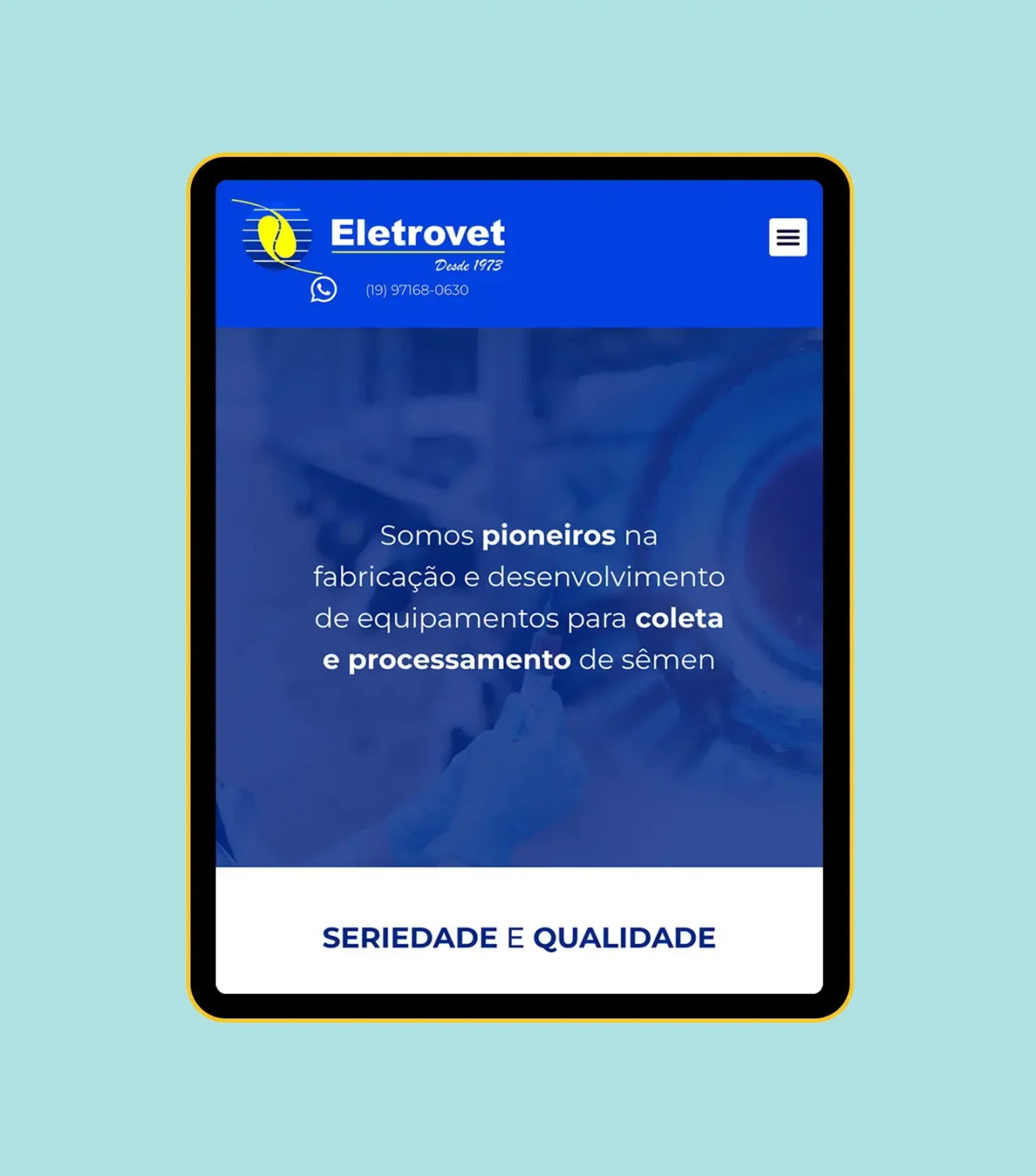 Site portfólio Eletrovet